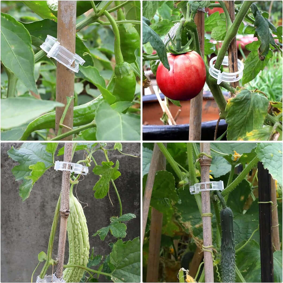 Cleme de Fixare pentru Plante (50+50 Gratis)
